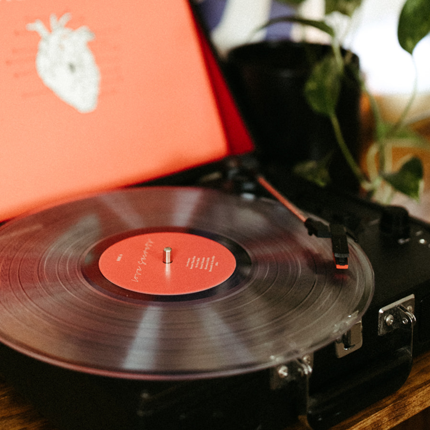 Love Secrets Vinyl Record