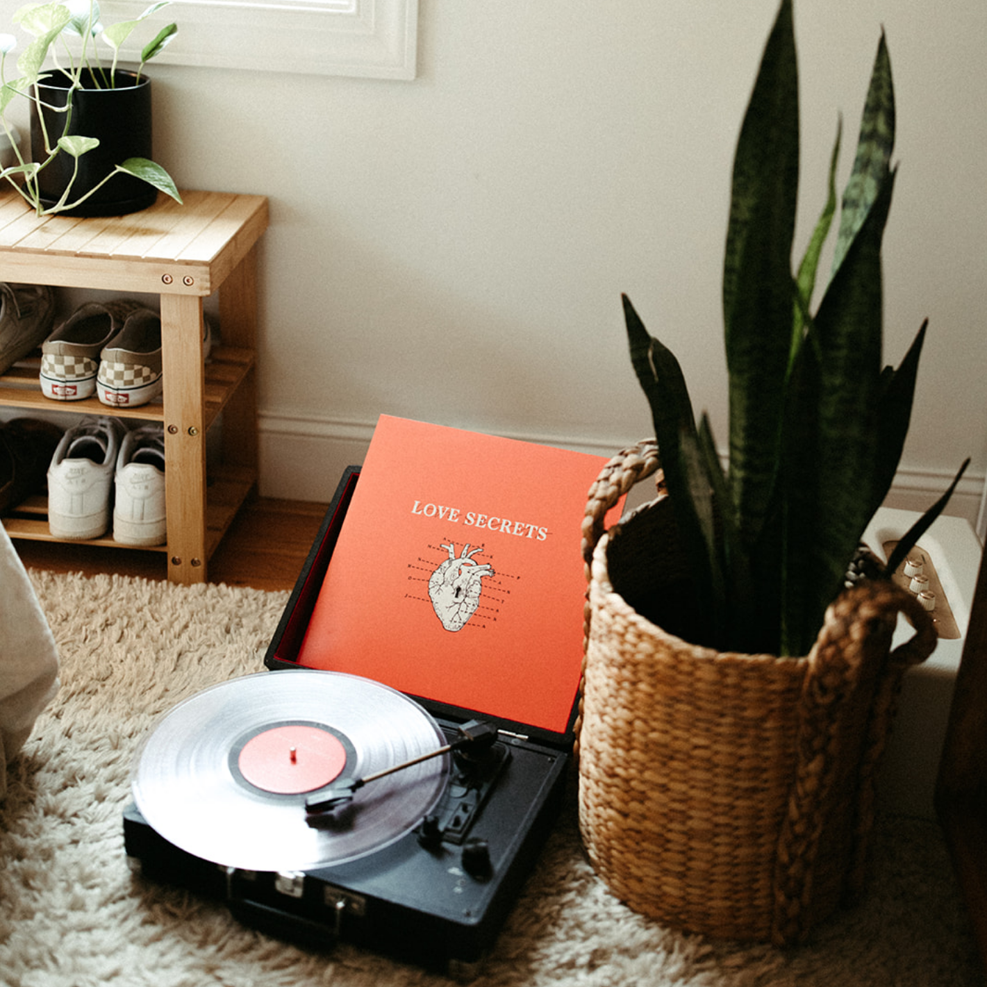 Love Secrets Vinyl Record